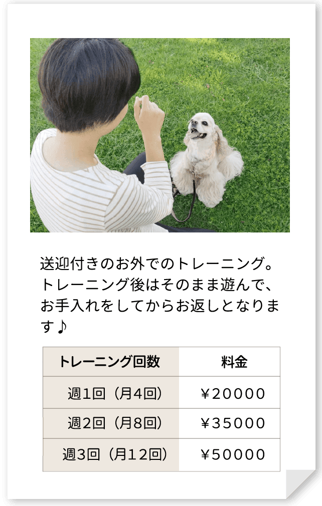 送迎付きのお外でのトレーニング。トレーニング後はそのまま遊んで、お手入れをしてからお返しとなります♪週１回（月４回）￥２００００、週２回（月８回）￥３５０００、週３回（月１２回）￥５００００