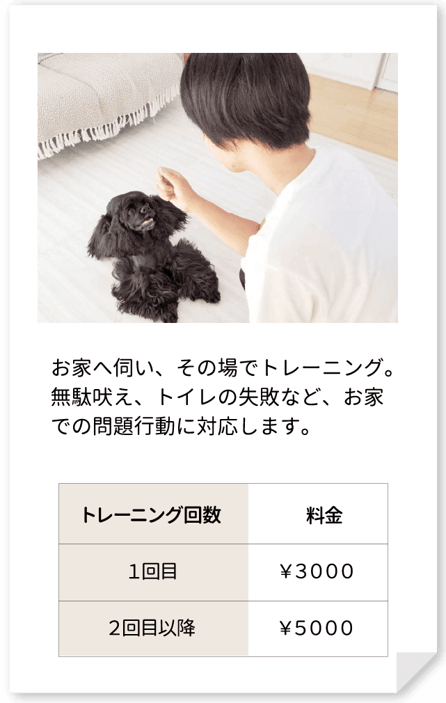 お家へ伺い、その場でトレーニング。無駄吠え、トイレの失敗など、お家での問題行動に対応します。１回目￥３０００、２回目以降￥５０００