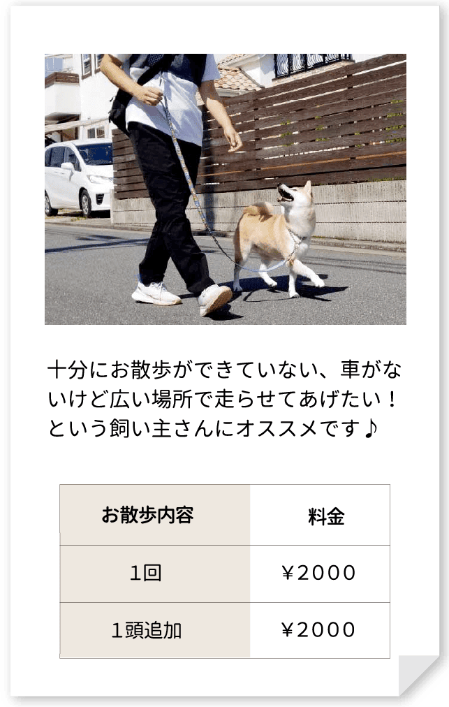 十分にお散歩ができていない、車がないけど広い場所で走らせてあげたい！という飼い主さんにオススメです♪１回￥２０００、１頭追加￥２０００