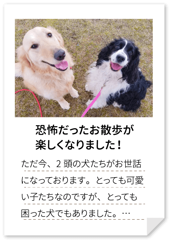 恐怖だったお散歩が
                楽しくなりました！ただ今、2頭の犬たちがお世話になっております。とっても可愛い子たちなのですが、とっても困った犬でもありました。…