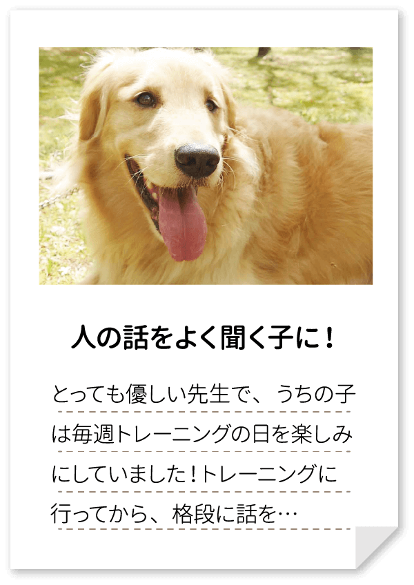 人の話をよく聞く子に！とっても優しい先生で、うちの子は毎週トレーニングの日を楽しみにしていました！トレーニングに行ってから、格段に話を…